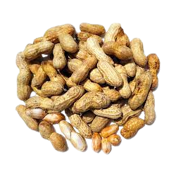Raw Peanut $1.99/LB
