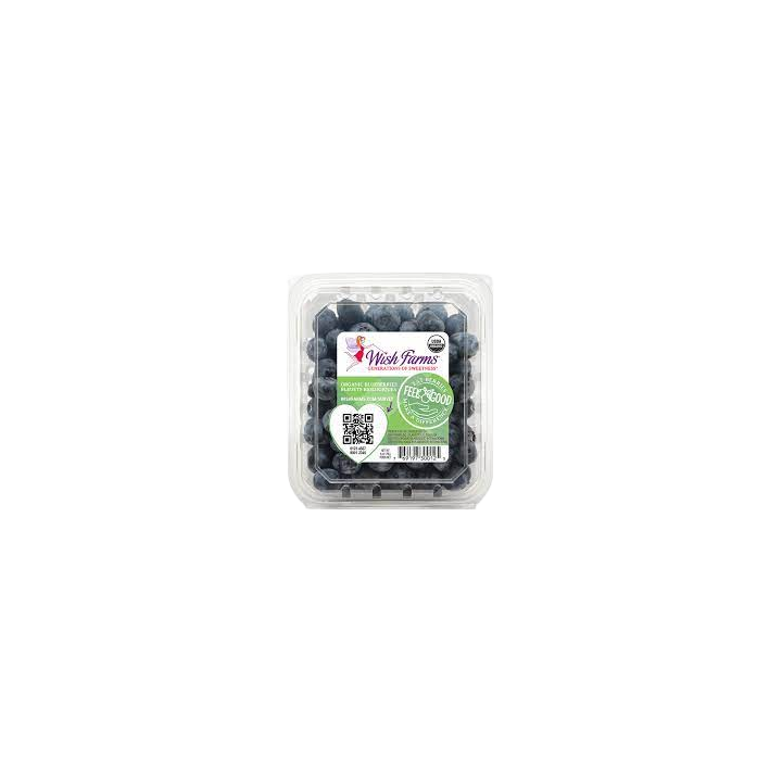 Wish Farms Blueberries 6 OZ