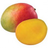 Fresh Mangoes
