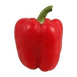 Fresh Red Bell Pepper - $1.49 Ea.