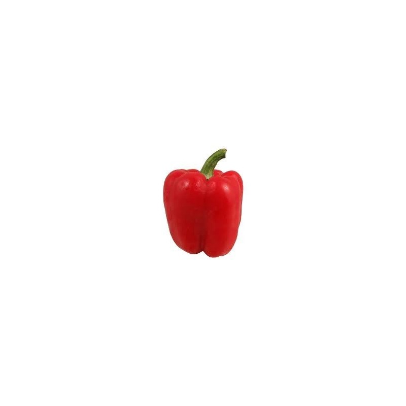 Fresh Red Bell Pepper - $1.49 Ea.