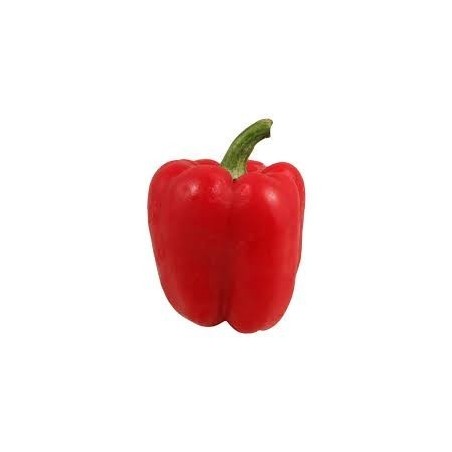 Fresh Red Bell Pepper - $1.49 Ea.