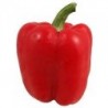Fresh Red Bell Pepper - $1.49 Ea.