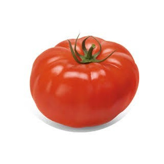 Fresh Vine Ripe Tomatoes - $1.88/LBS