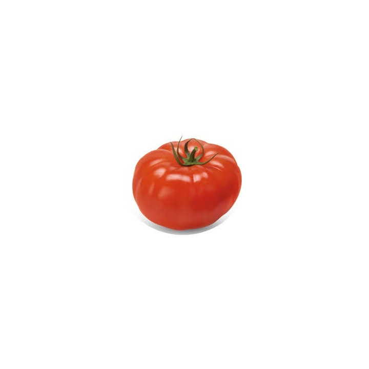 Fresh Vine Ripe Tomatoes - $1.88/LBS