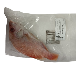 NEF Scarlet (Red) Snapper Fish