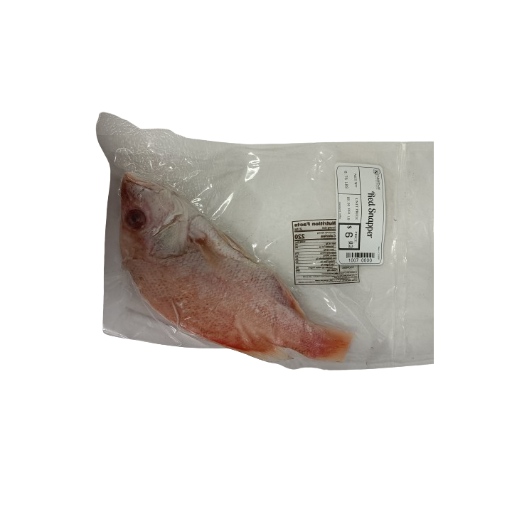 NEF Scarlet (Red) Snapper Fish