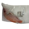 NEF Scarlet (Red) Snapper Fish