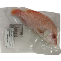 NEF Scarlet (Red) Snapper Fish