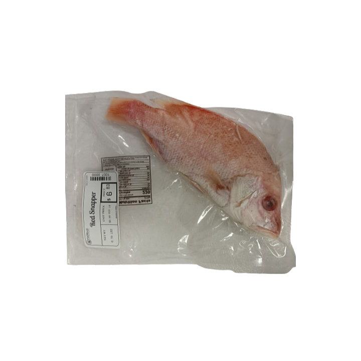 NEF Scarlet (Red) Snapper Fish