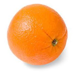 Fresh Large Orange