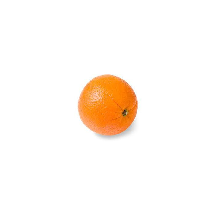 Fresh Large California Orange
