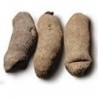 African Yam - 50 LBS Case