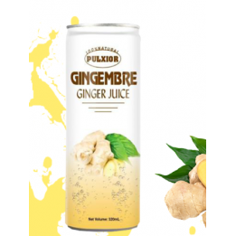 Pulxior Gingembre 6-Pk