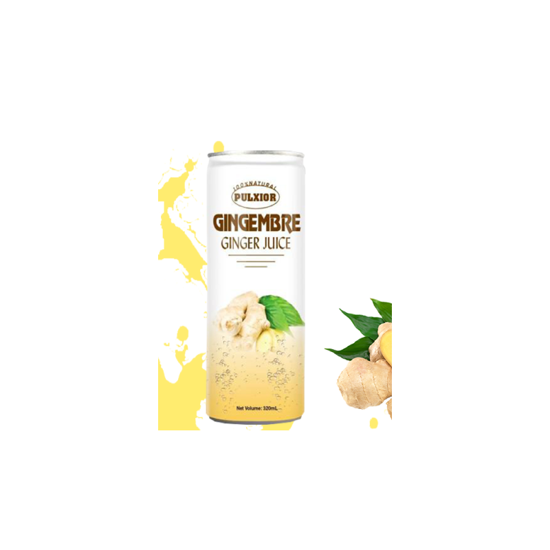 Pulxior Gingembre 6-Pk