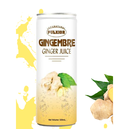 Pulxior Gingembre 6-Pk