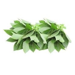 Pacific Isles Frozen Jute (Ewedu) Leaves 8oz