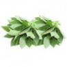 Pacific Isles Frozen Jute (Ewedu) Leaves 8oz