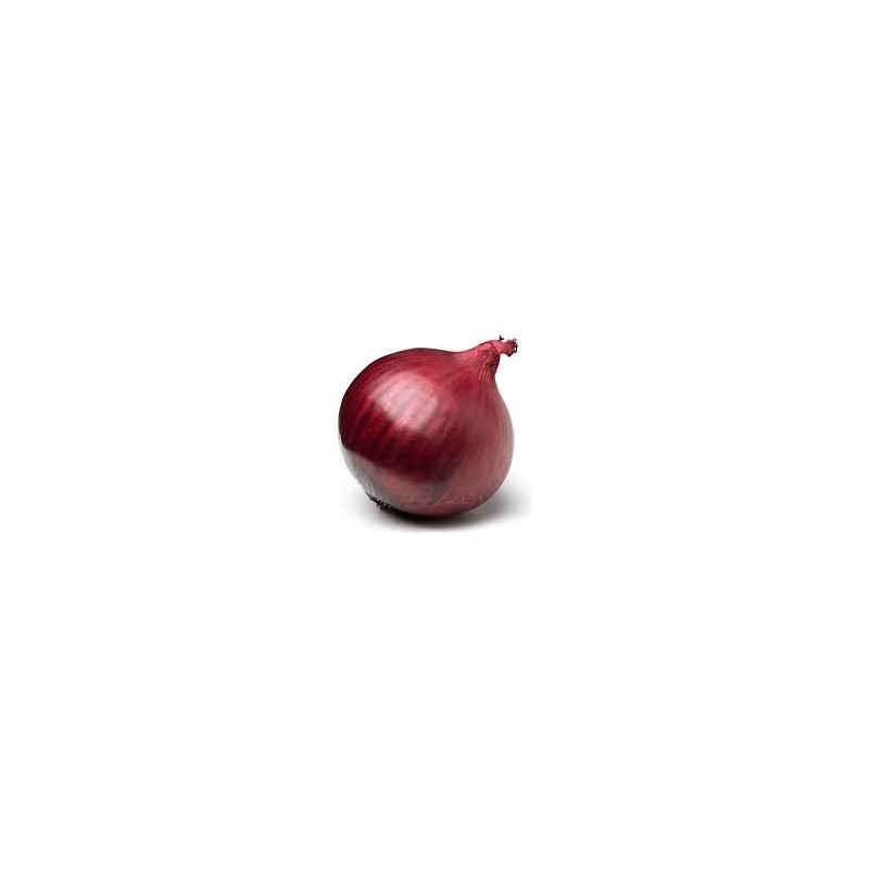 Fresh Red Onion - $1.59/LBS