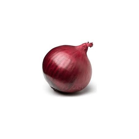 Fresh Red Onion - $1.59/LBS