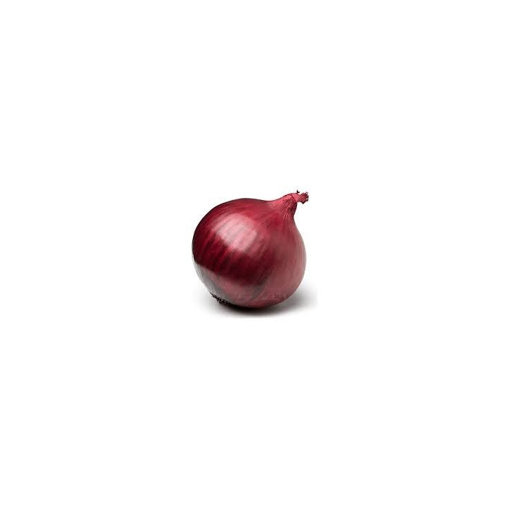 Fresh Red Onion - $1.59/LBS