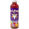 AriZona Fruit Punch 20 Fl-Oz