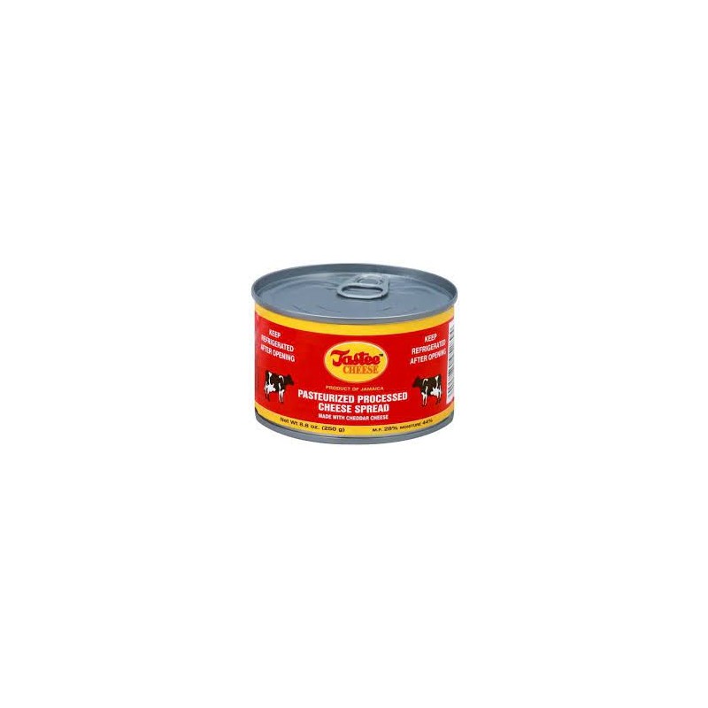 Tastee Cheese Pasteurized Cheese Spread 8.8 oz