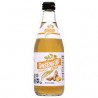 Ginseng Up Ginger Drink 355mL